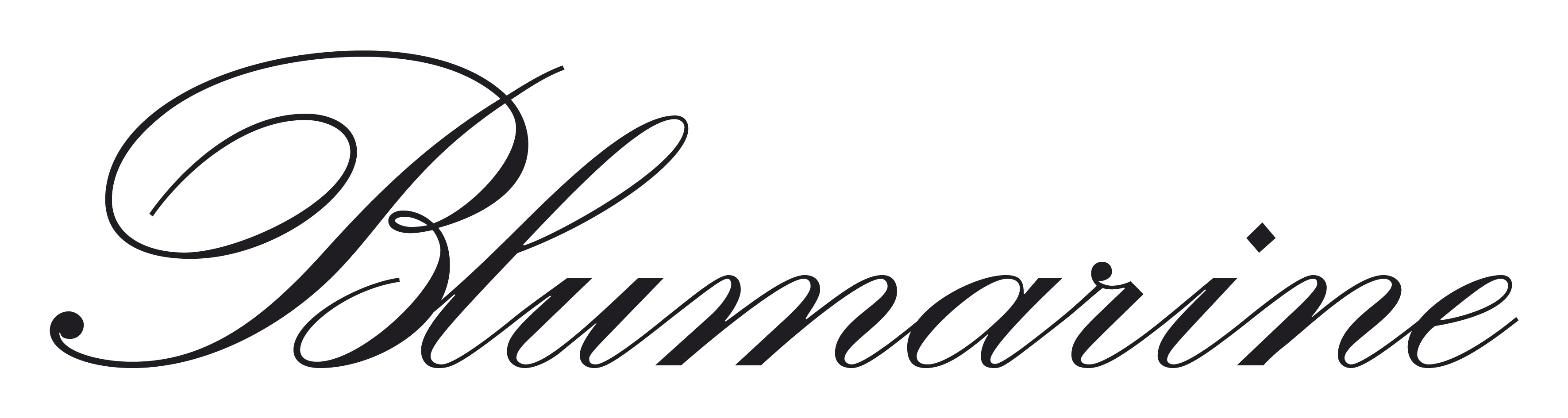 logo blumarine